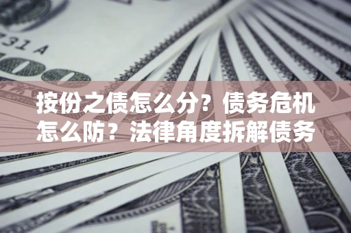 武汉按份之债怎么分？债务危机怎么防？法律角度拆解债务分配与风险自保指南