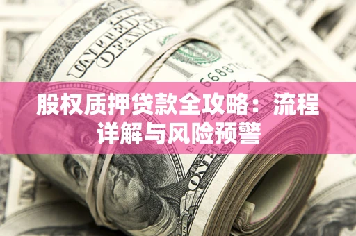 武汉股权质押贷款全攻略：流程详解与风险预警