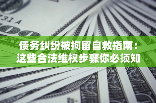 武汉债务纠纷被拘留自救指南：这些合法维权步骤你必须知道！