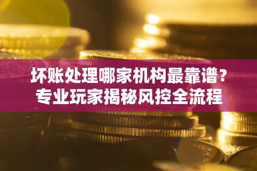 武汉坏账处理哪家机构最靠谱？专业玩家揭秘风控全流程