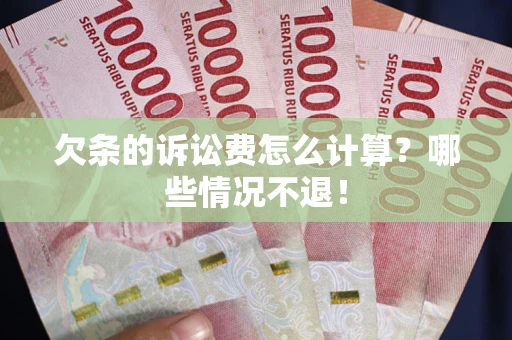 武汉欠条的诉讼费怎么计算？哪些情况不退！