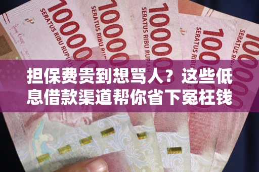 武汉担保费贵到想骂人？这些低息借款渠道帮你省下冤枉钱