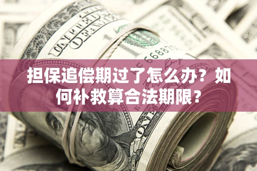 武汉担保追偿期过了怎么办？如何补救算合法期限？