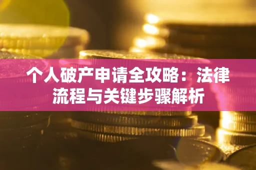 武汉个人破产申请全攻略：法律流程与关键步骤解析