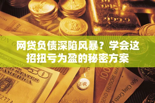 武汉网贷负债深陷风暴？学会这招扭亏为盈的秘密方案