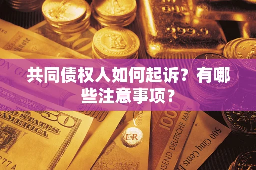 武汉共同债权人如何起诉？有哪些注意事项？